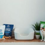 Choose the Right Cat Litter: Tips for Pet Parents